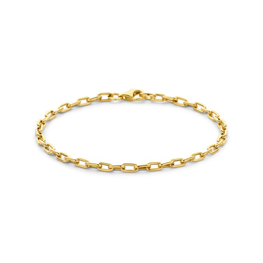 Fijne Ankerschakel Armband 3 mm 14k Geelgoud