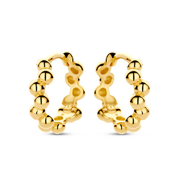 Oorbellen Classic 14K Goud - Swing Jewels