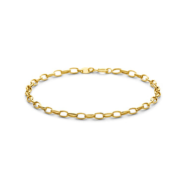 Ankerschakel Armband 2,8 mm 9k Geelgoud - 17 cm