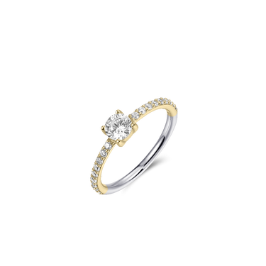 Briljant Dashing Details Ring Verguld Zilver