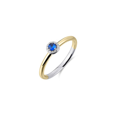 Halo Ring Blauw Bicolor Verguld Zilver
