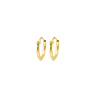 Viral Hoops Oorringen 11 mm x 1,3 mm Goud Verguld Zilver