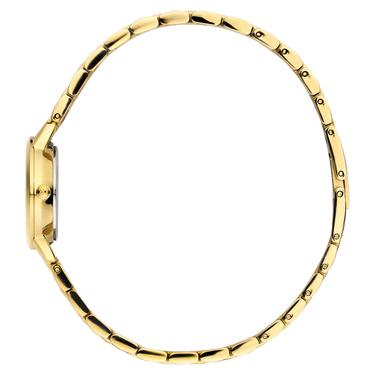 Dameshorloge Akilia Mini Link Gold Husky Hazel