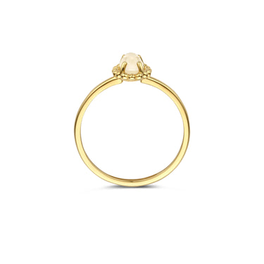 Parelmoer Ring met Bergkristal 14k Geelgoud