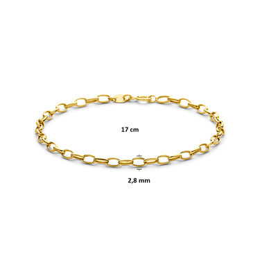 Ankerschakel Armband 2,8 mm 9k Geelgoud