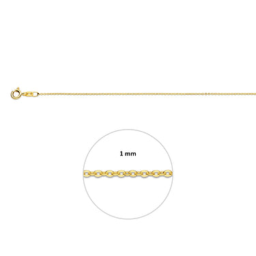 Lio ankerketting 14 karaat goud sluiting