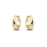 Gepolijste Oorringen Verguld Zilver (18mm)