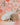 Oorhangers_Perzik_Maansteen_Roze_Goud_Verguld
