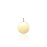 Mini Munt Hanger Graveerbaar Verguld Zilver