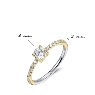 Briljant Dashing Details Ring Verguld Zilver