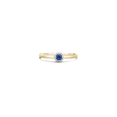 Halo Ring Blauw Bicolor Verguld Zilver
