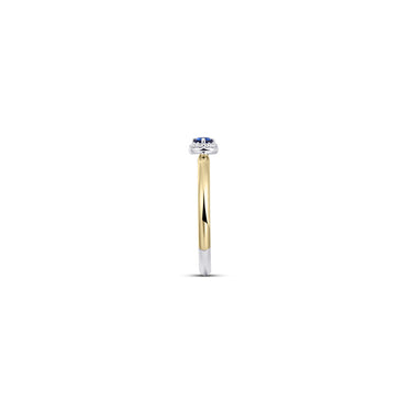 Halo Ring Blauw Bicolor Verguld Zilver