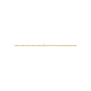 Ankerschakel Collier 2,8 mm 9k Geelgoud
