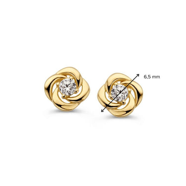 Elegante gouden oorstekers met sprankelende details