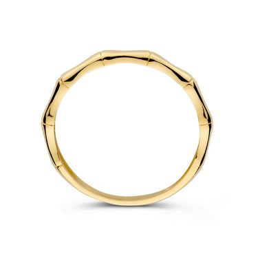Bamboo Ring 14k Geelgoud