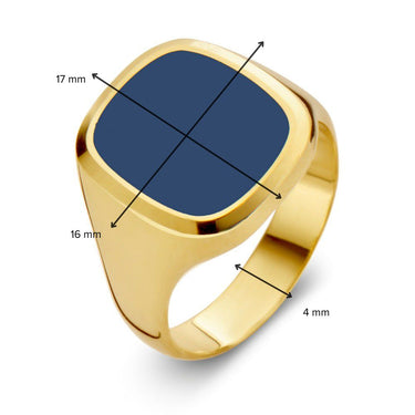 Zegelring Blauwe Lagensteen 14k Geelgoud